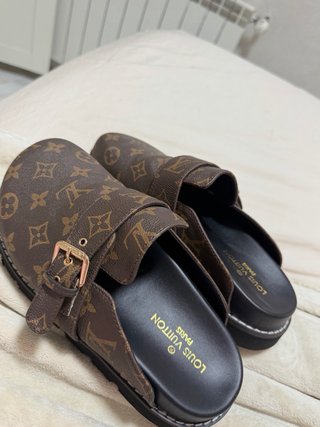 Zapatos Louis Vuitton Marrones y Dorados