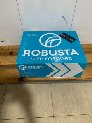 Zapatos de seguridad Robusta grises y verdes