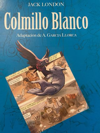 Colmillo blanco