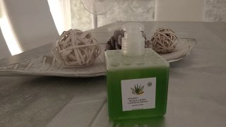 Champú Aloe, Laurel y Ricino