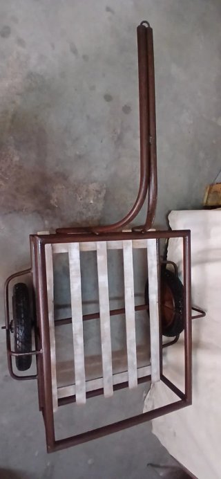Carro remolque para bicicleta