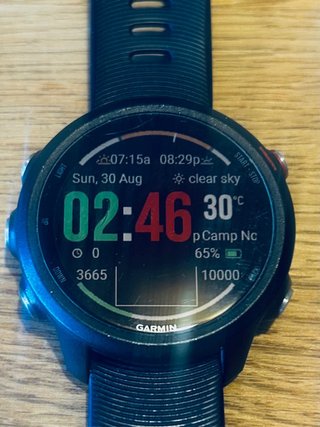 Garmin Forerunner 245 Music Negro