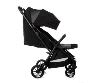 Silla de paseo doble Jane