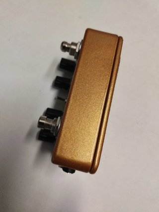 Crazy Tube Circuits Time Delay Pedal