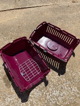 Transportín para gato o perro