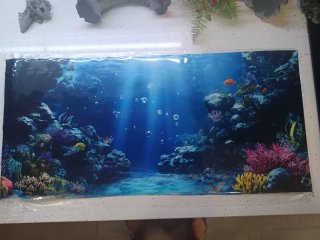 Acuario (Accesorios para acuario)