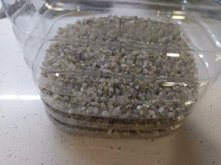 Acuario (Accesorios para acuario)
