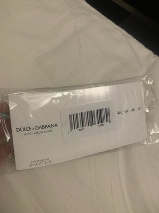Dolce & Gabbana Velvet Mimosa Bloom Campione