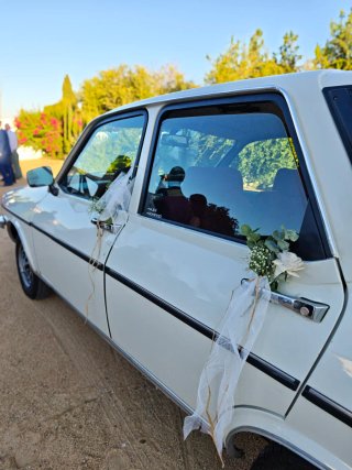 Renault 12 TS bodas coche clasico