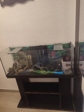 Acuario 100L Negro y Transparente