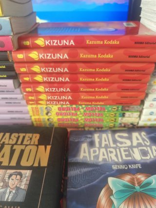Colección de manga antiguos español