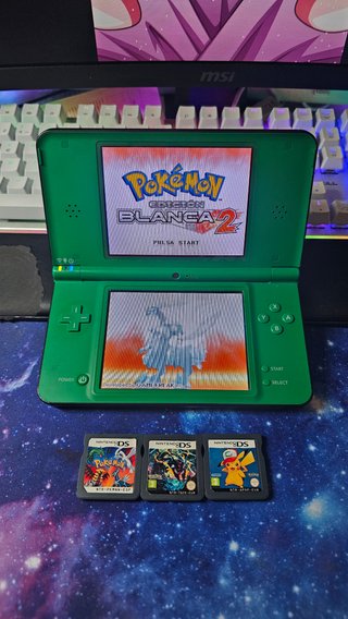 Cartuccia personalizzabile Pokémon per Nintendo DS