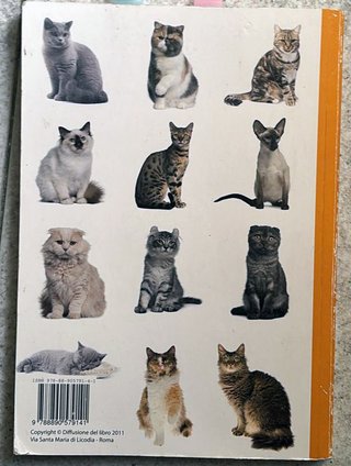 Il gatto. Razze, salute, carattere, comportamento