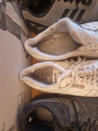 Lote de zapatillas Adidas, Nike, Reebok