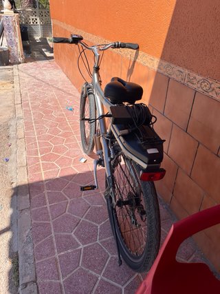 Bicicleta Eléctrica Plata