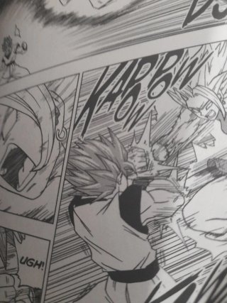 Dragon Ball Super, Vol. 8