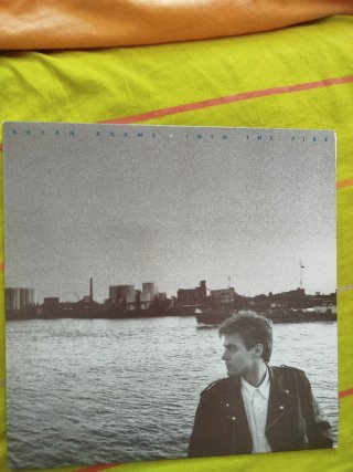 Vinilo Bryan Adams Into The Fire
