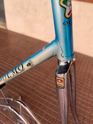 Cuadro Olmo Sintex Columbus SL