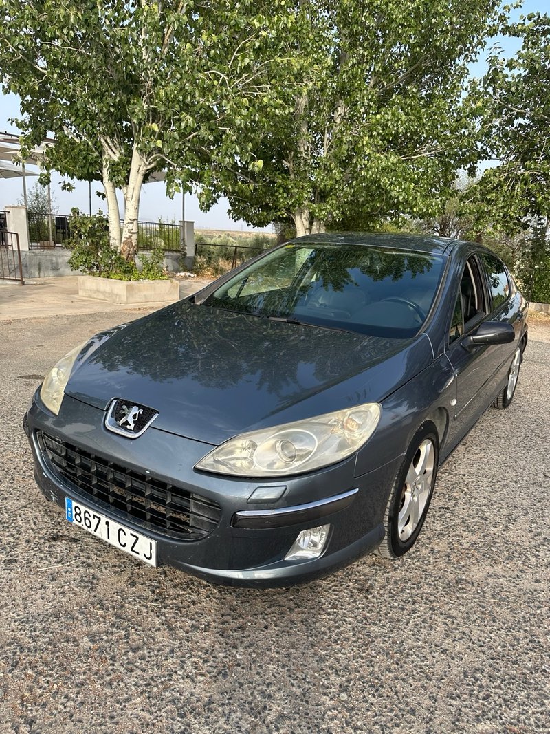 Peugeot 407 2004 - foto 1