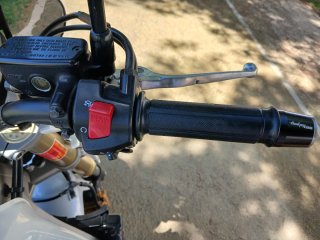 Honda Hornet Plata/Blanca Naked