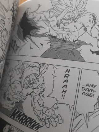 Dragon Ball Super, Vol. 5