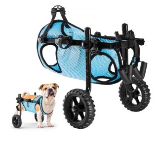 Sedia a rotelle per cani blu