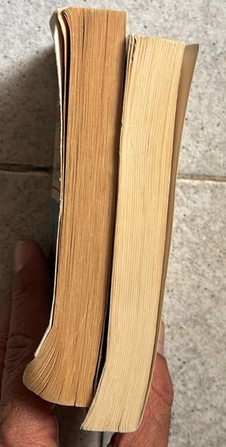 Mini Doppio Dizionario Italiano-Inglese-Italiano