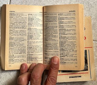Mini Doppio Dizionario Italiano-Inglese-Italiano