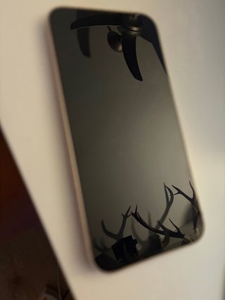 iPhone 13 Rosa