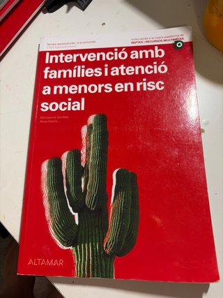 INTERVENCIO AMB FAMILIES I ATENCIO A MENORS EN ...