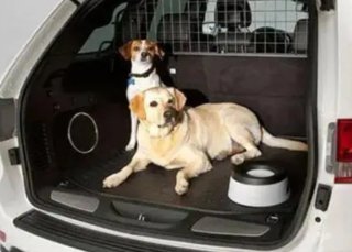 Transporte privado de Mascotas - Gestión de rutas