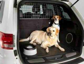 Transporte privado de Mascotas - Gestión de rutas