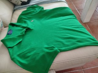 Polo Ralph Lauren Verde