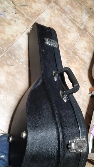 Mandolina Alfredo Albertini de pájaro con funda