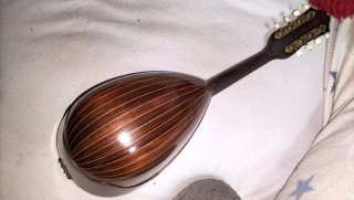 Mandolina Alfredo Albertini de pájaro con funda