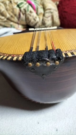 Mandolina Alfredo Albertini de pájaro con funda