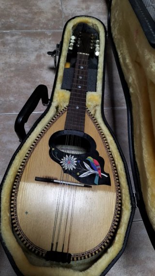 Mandolina Alfredo Albertini de pájaro con funda