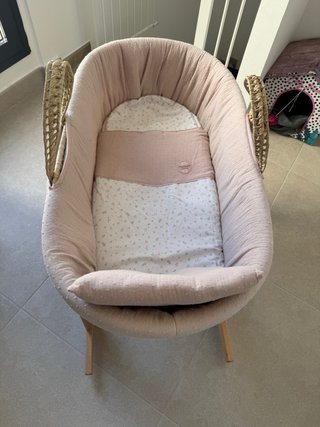Moisés Cambrass Rosa Plumeti