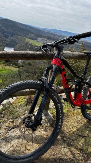 Bici Trek Fuel EX 7 2024