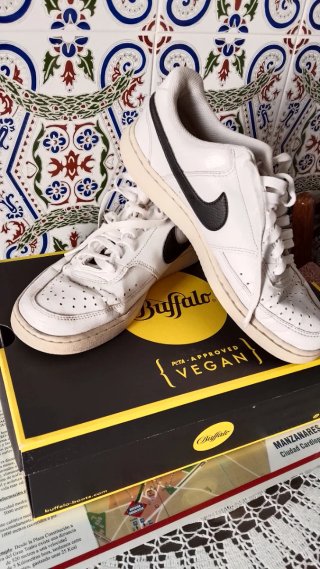 Lote Nike Blancas Talla 42.5 y 42 sandallia