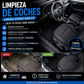 Limpieza de coche