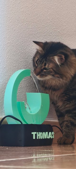 Fuente para Gatos Personalizada con Nombre