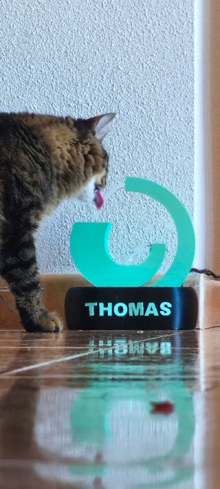 Fuente para Gatos Personalizada con Nombre