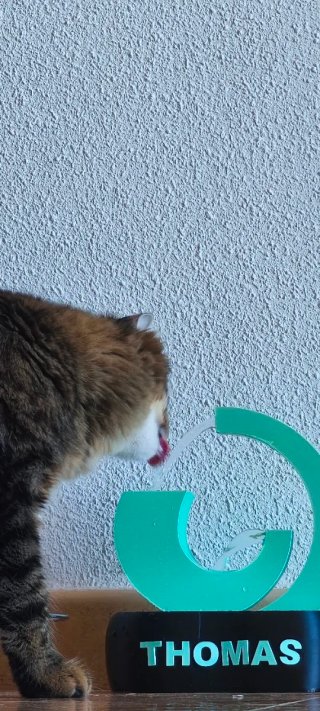 Fuente para Gatos Personalizada con Nombre