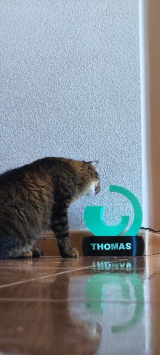 Fuente para Gatos Personalizada con Nombre