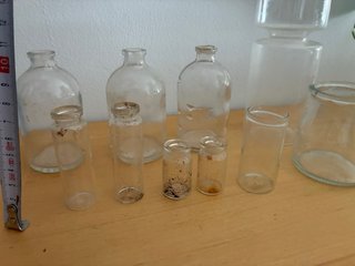 Lote de frascos de cristal vintage para esquejes