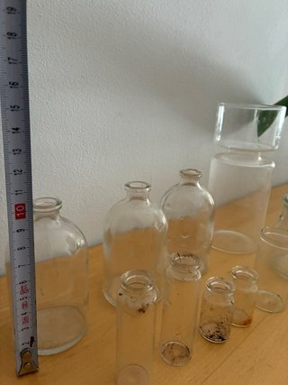 Lote de frascos de cristal vintage para esquejes