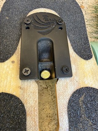 Longboard Loaded Icarus