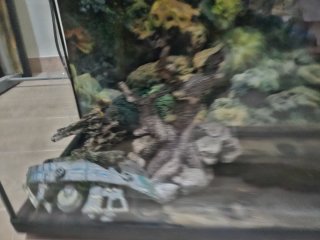 Acuario Grande Negro y Transparente