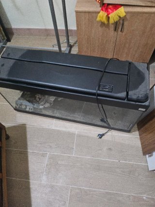 Acuario Grande Negro y Transparente